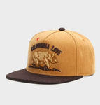 Brown bear